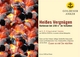 Flyer zum Grillabend